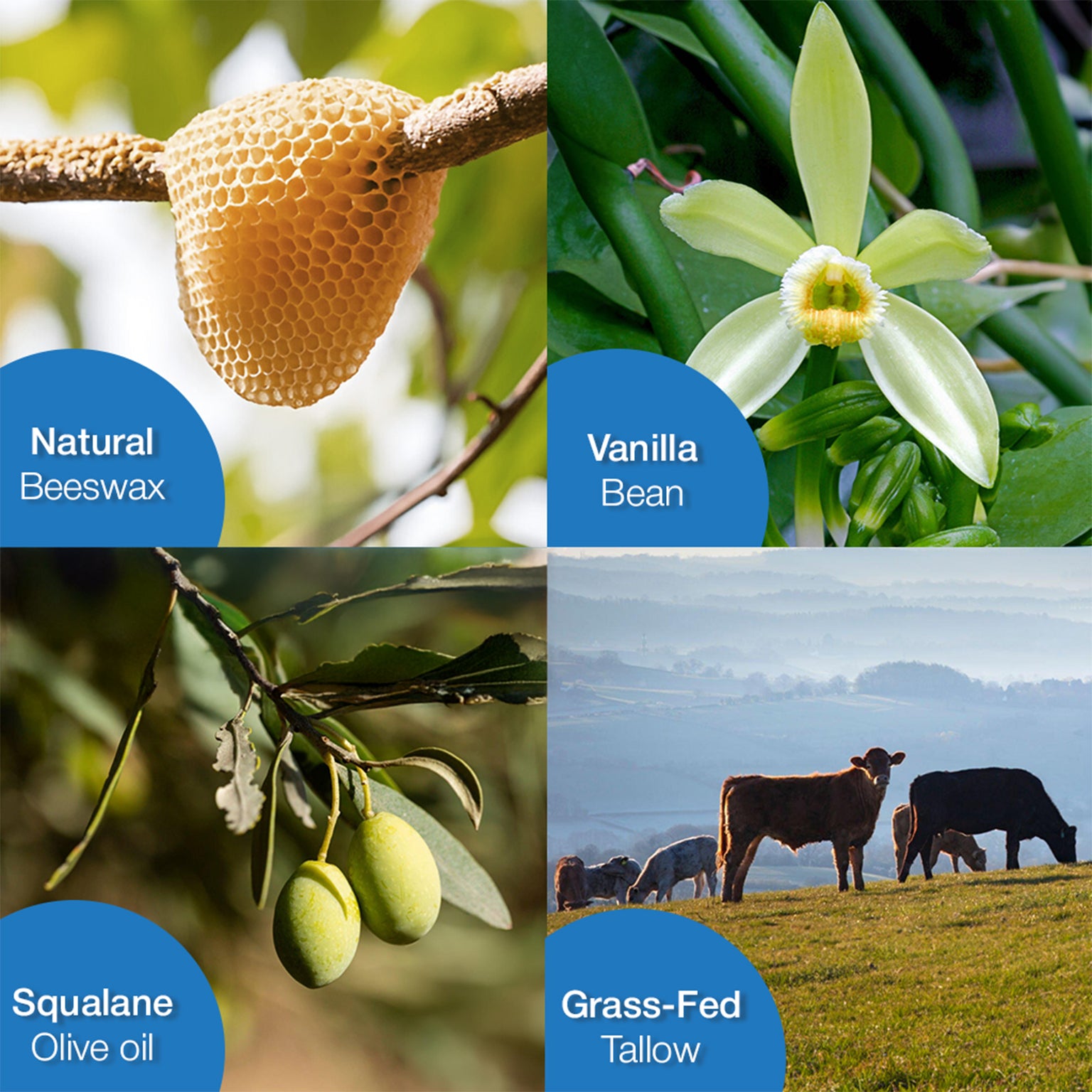 Organic Grass Fed Beef Tallow Moisturizer 120g